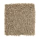 American Legacy in Soapstone - Carpet by Mohawk Flooring