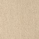 Soft Eloquence in Midsummer Light - Carpet by Mohawk Flooring
