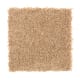Intelligent Style in Muslin - Carpet by Mohawk Flooring