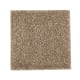 Native Allure I in Pine Cone - Carpet by Mohawk Flooring