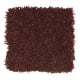 Nearby Beauty in Brick Walk - Carpet by Mohawk Flooring
