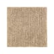 Essential Effects in Spiced Tea - Carpet by Mohawk Flooring