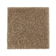 Native Allure I in Nutmeg - Carpet by Mohawk Flooring