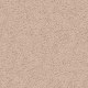 Secluded Oasis in Desert Star - Carpet by Mohawk Flooring