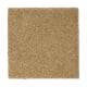 Pure Imagery in Stonington Beige - Carpet by Mohawk Flooring