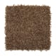 Brilliant Design in Ginger Jar - Carpet by Mohawk Flooring