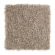 Serene Touch in Winter Delta - Carpet by Mohawk Flooring
