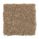 Sea Star in Carriage Ride - Carpet by Mohawk Flooring