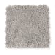Emerging Image III in Silver Lining - Carpet by Mohawk Flooring