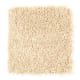 Nearby Beauty in Blondie - Carpet by Mohawk Flooring