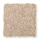 Distinctive Setting in Biscuit - Carpet by Mohawk Flooring