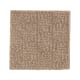 Casual Culture in Rich Earth - Carpet by Mohawk Flooring
