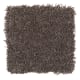 Brilliant Influence in Coffee Bean - Carpet by Mohawk Flooring