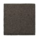 Natural Splendor II in Wrought Iron - Carpet by Mohawk Flooring