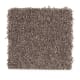 Simply Soft I in Dried Peat - Carpet by Mohawk Flooring
