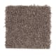 Simply Soft I in Dried Peat - Carpet by Mohawk Flooring