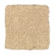 Exclusive Content II in Shoreline - Carpet by Mohawk Flooring