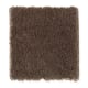 Solo in Pine Cone - Carpet by Mohawk Flooring