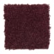 Enticing Objective in Bordeaux - Carpet by Mohawk Flooring