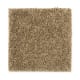 Intelligent Style in Pondscape - Carpet by Mohawk Flooring