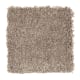 Enticing Objective in Weathered Wood - Carpet by Mohawk Flooring