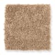 Chic Appearance in Glazed Donut - Carpet by Mohawk Flooring