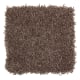 Brilliant Influence in Pine Cone - Carpet by Mohawk Flooring