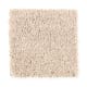 Simple Selection in Crackled Glaze - Carpet by Mohawk Flooring