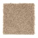 Playful Nature in Nutmeg - Carpet by Mohawk Flooring