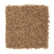 Intelligent Style in Tiki Hut - Carpet by Mohawk Flooring