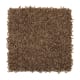 Posh Origins in Ginger Jar - Carpet by Mohawk Flooring