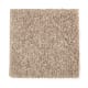 Nearby Beauty in Rum Cake - Carpet by Mohawk Flooring