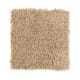 Simply Soft II in Summer Straw - Carpet by Mohawk Flooring