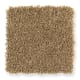Distinctive Setting in Lily Pad - Carpet by Mohawk Flooring