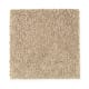 Creative Showcase I in Harvest Straw - Carpet by Mohawk Flooring