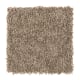 Sassy Arrangement in Dry Twig - Carpet by Mohawk Flooring