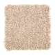 Smart Color in Jute - Carpet by Mohawk Flooring