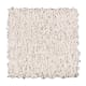 Heavenly Harbour in Lunar - Carpet by Mohawk Flooring