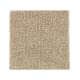 Casual Culture in Mushroom Cap - Carpet by Mohawk Flooring