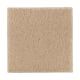 Organic Beauty I in Maple Tint - Carpet by Mohawk Flooring