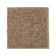 Nature's Appeal I in Rich Earth - Carpet by Mohawk Flooring