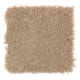 Alluring Ambition in Frosty Spice - Carpet by Mohawk Flooring