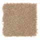 Alluring Ambition in Frosty Spice - Carpet by Mohawk Flooring