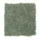 American Legacy in Gecko - Carpet by Mohawk Flooring