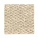 Summer Carnival in Light Camel - Carpet by Mohawk Flooring
