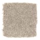 Alluring Ambition in Cobble Path - Carpet by Mohawk Flooring