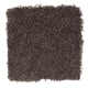 Easy Option in Coffee Bean - Carpet by Mohawk Flooring