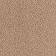 Emerging Image III in Worn Leather - Carpet by Mohawk Flooring