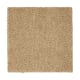 Calming Promise in Canterbury - Carpet by Mohawk Flooring