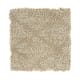 Soft Connection in Ancient Treasure - Carpet by Mohawk Flooring
